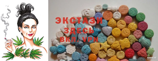 ECSTASY Богородицк